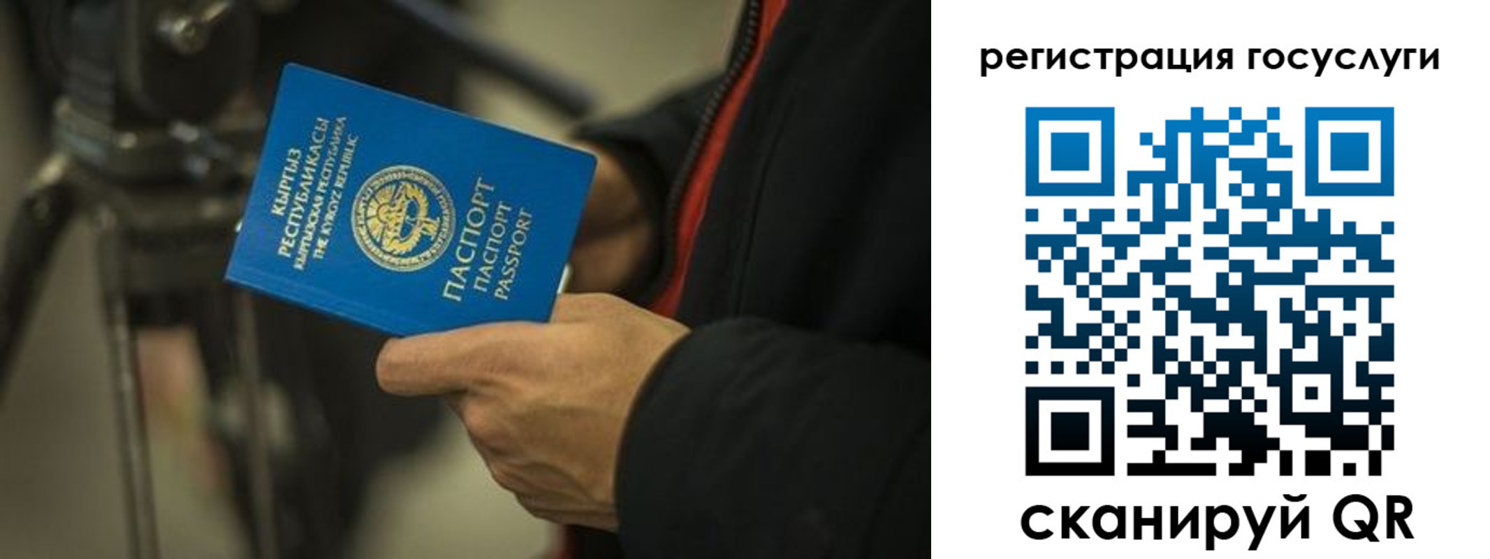 регистрация в Вологодской области